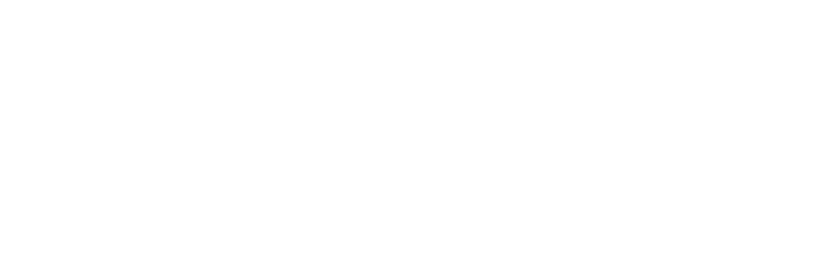 Shika Bearing